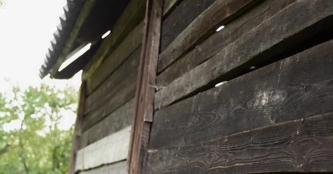 Jak przewieźć zupę w garnku bez wylania i utraty ciepła